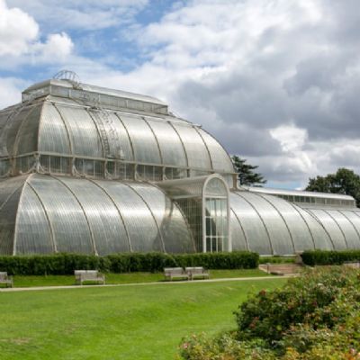 Year 9 Kew Gardens Field Trip October 2021