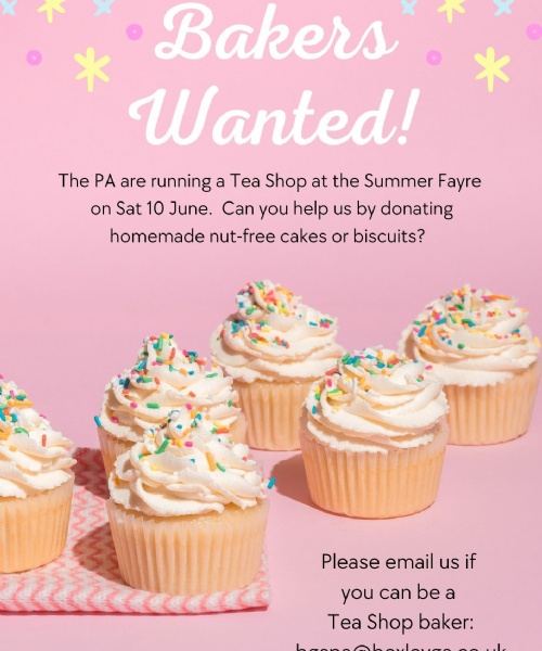 Summer Fayre Bakers Wanted!