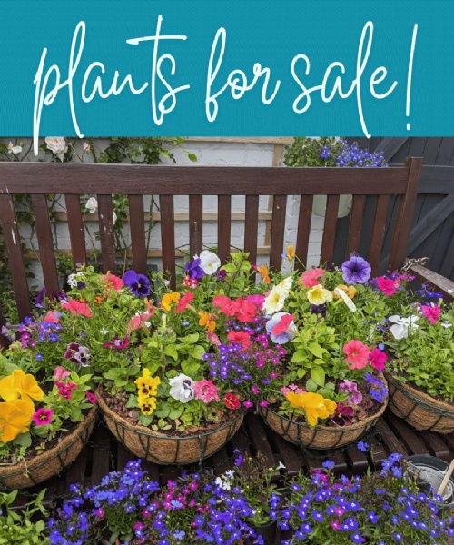 PA Plants