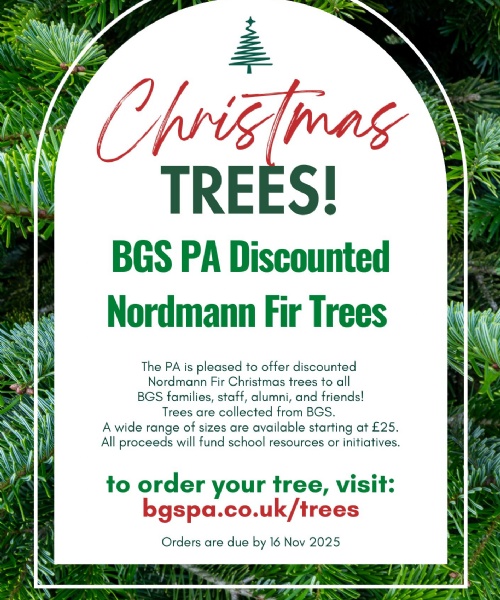 Discounted Nordmann Fir Christmas Trees for sale