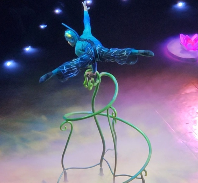 E Newsletter 21/1/26